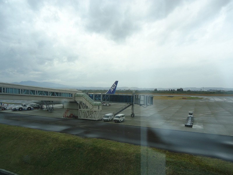 e0181908_237011.jpg