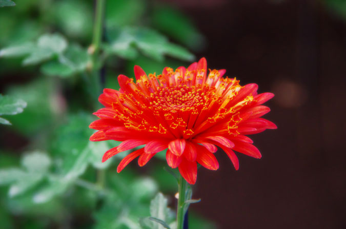 a0263109_13295145.jpg