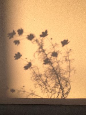 c0167813_12493534.jpg