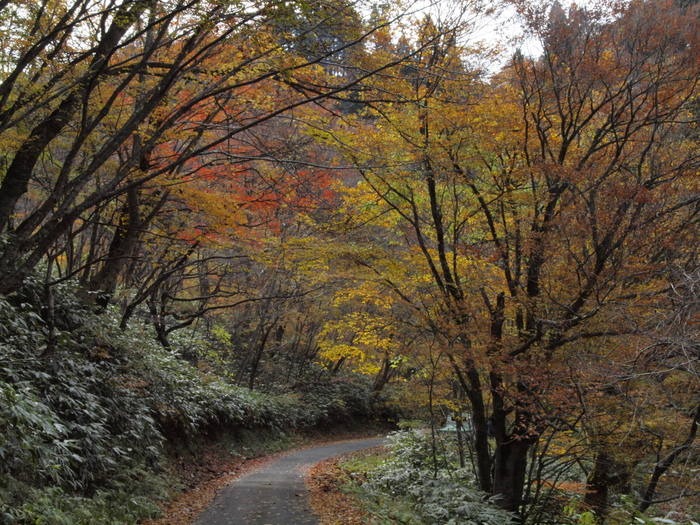 ｢紅葉の吉和を撮ろう｣その３_c0116915_013989.jpg