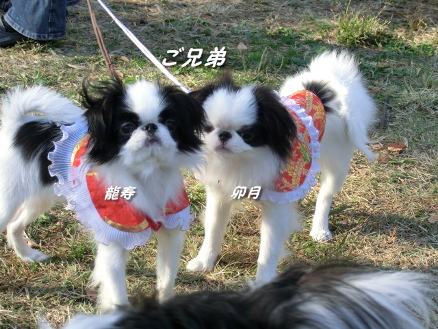c0200916_2321543.jpg