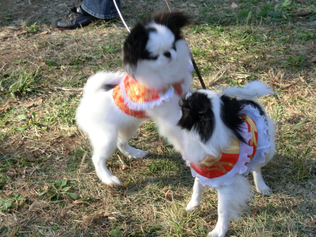 c0200916_23224043.jpg