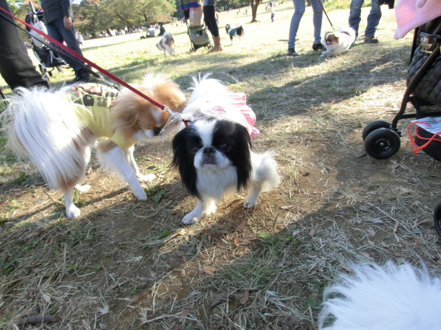 c0200916_2335545.jpg