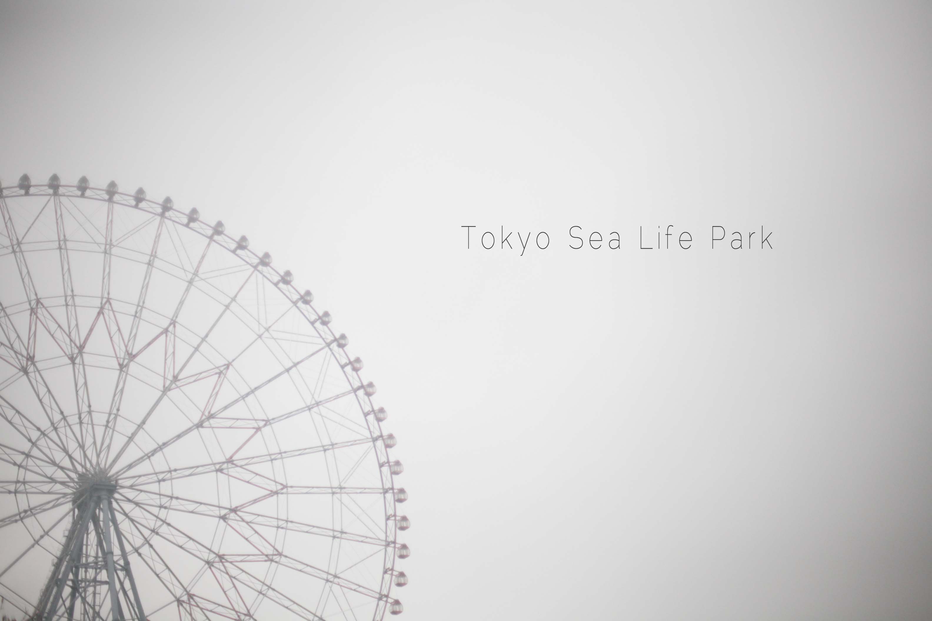 いっしょに 雨の葛西水族館_c0222817_1841949.jpg