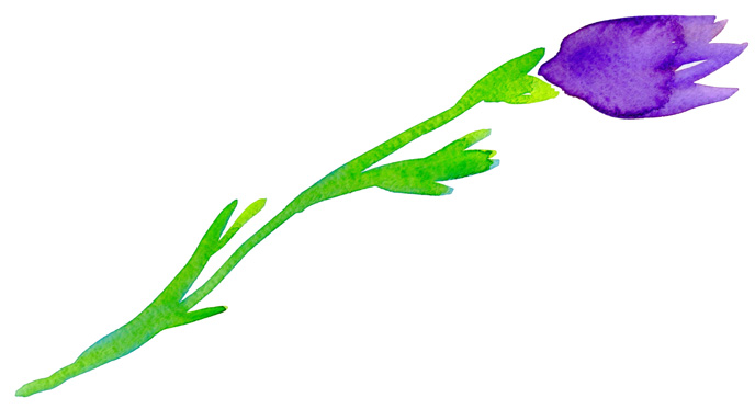 f0135024_20133333.jpg