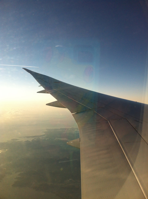a0028830_2328716.jpg