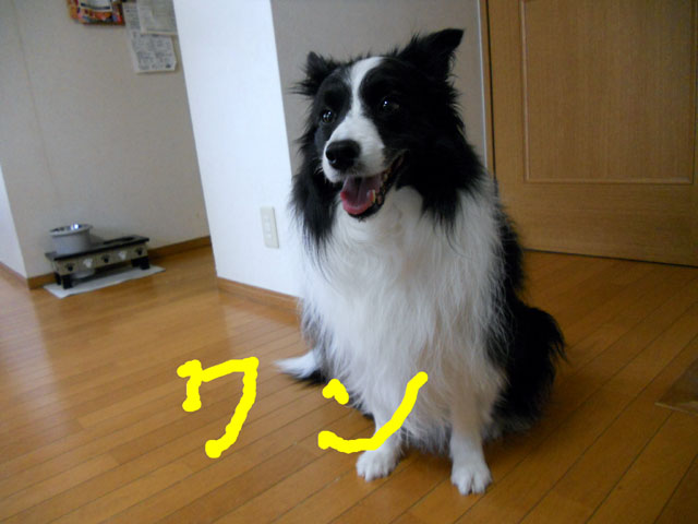 d0059230_82639100.jpg