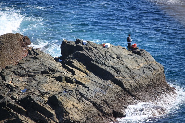 a0045932_195897.jpg