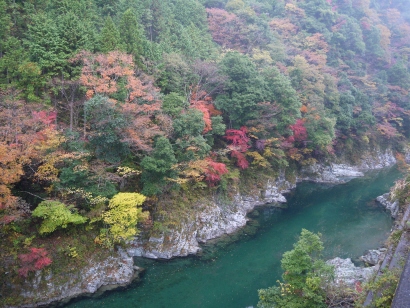12年11月7日 紅葉の面河渓 じゃこてんのつぶやき 12年11月7日 紅葉の面河渓 じゃこてんのつぶやき