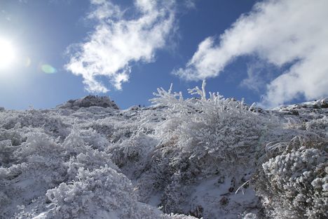 c0015639_20204463.jpg