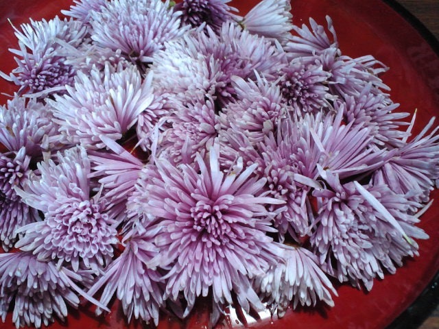 c0117239_8263328.jpg