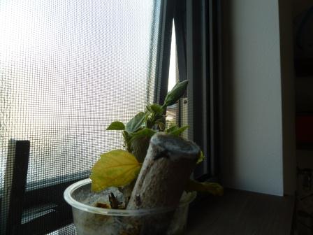 c0237143_23213594.jpg