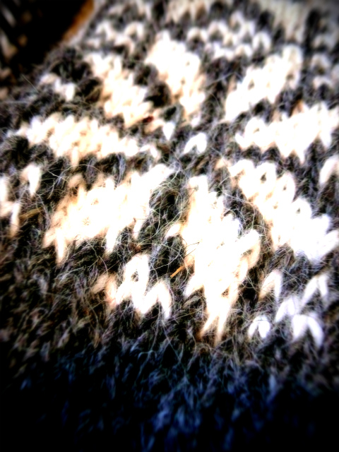 a0117545_1716272.jpg