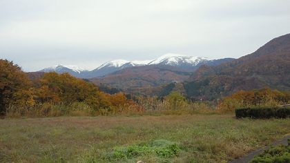a0151947_1754441.jpg