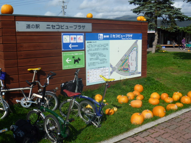 a0156548_227884.jpg