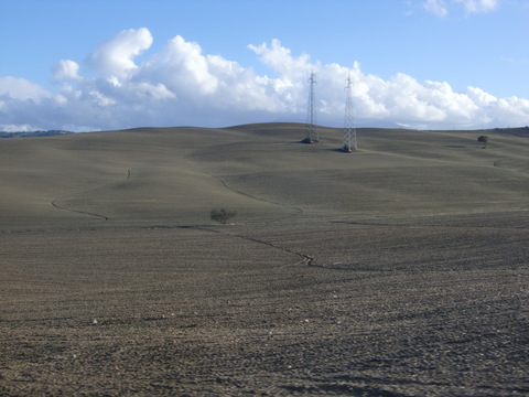 c0206352_64436.jpg