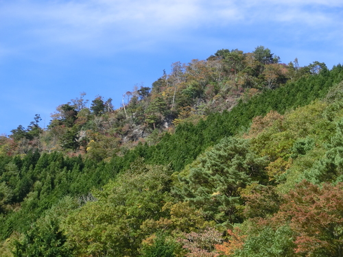 b0276758_1527445.jpg
