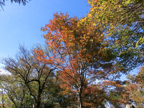 b0276758_15304465.jpg