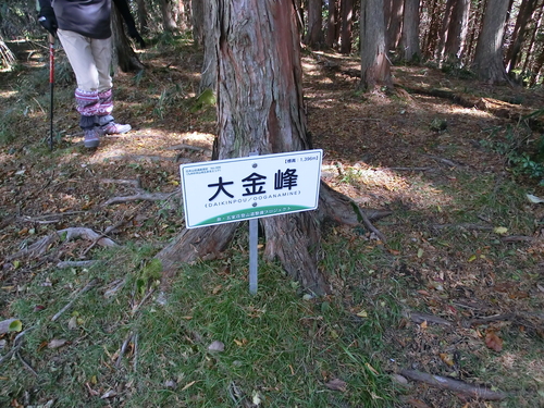 b0276758_155693.jpg