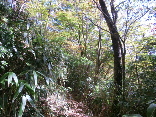 b0276758_15582218.jpg