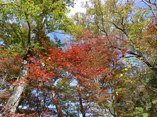 b0276758_1622213.jpg