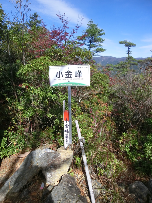 b0276758_1632960.jpg