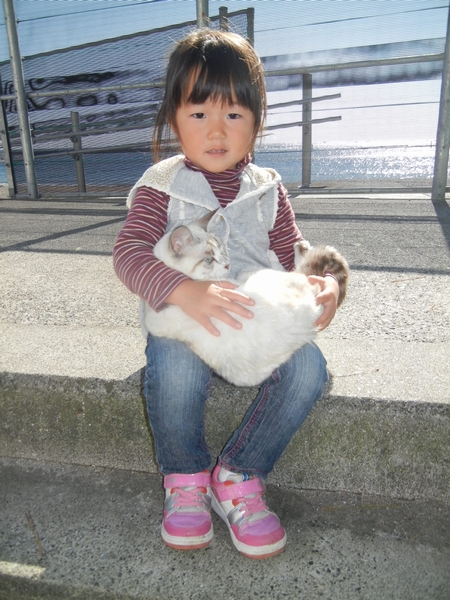 ’12,11,7(水)野良になった愛ちゃんと雨のオビドス!_f0060461_15545270.jpg