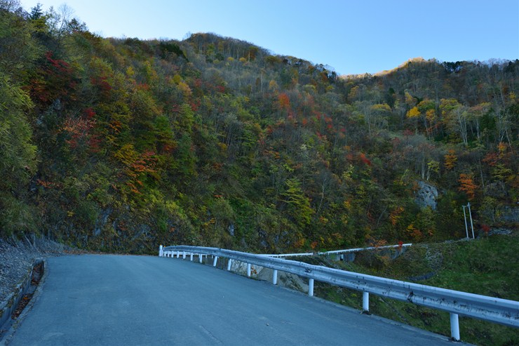 f0222161_114212.jpg