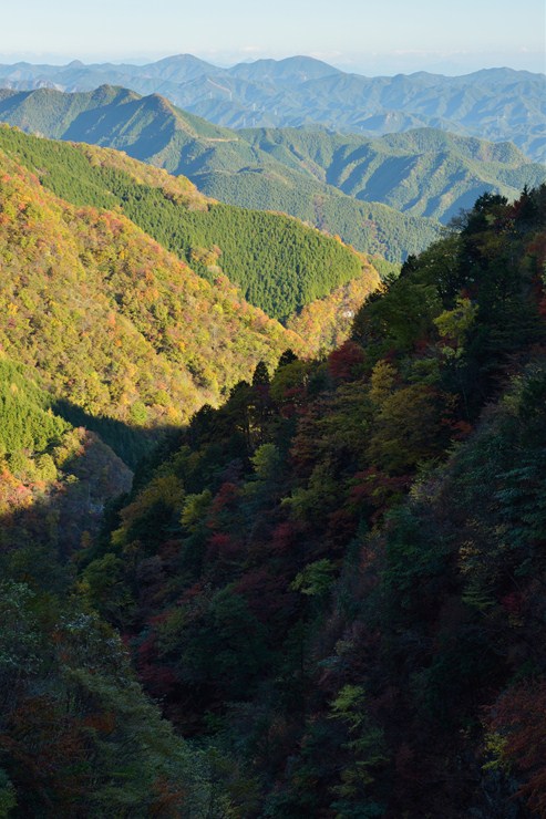 f0222161_11422562.jpg