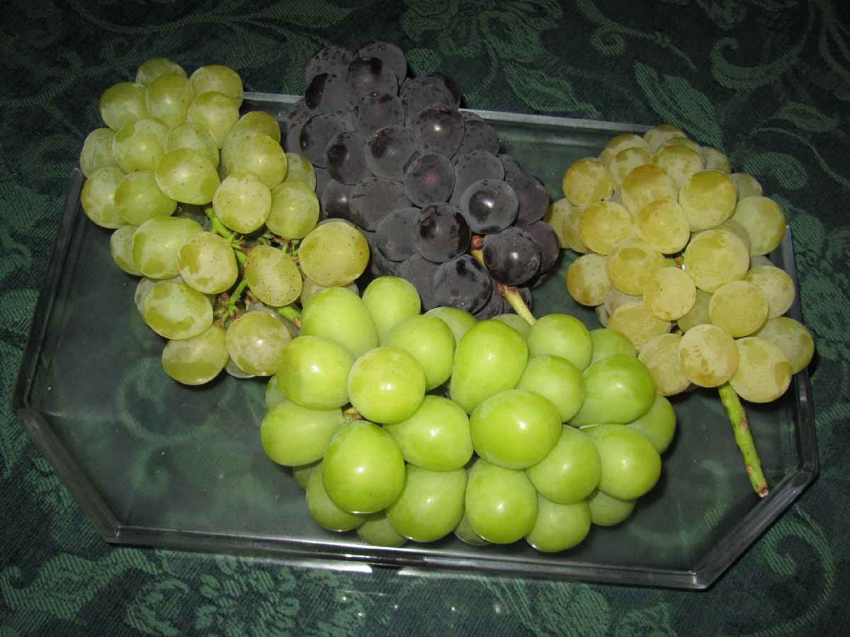 a0166264_03430.jpg