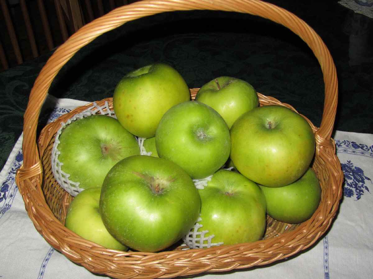 a0166264_075449.jpg