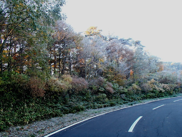 f0208666_1535412.jpg