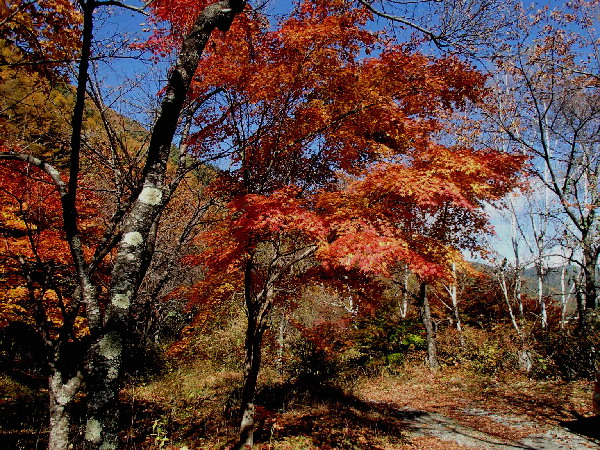 f0208666_15434792.jpg