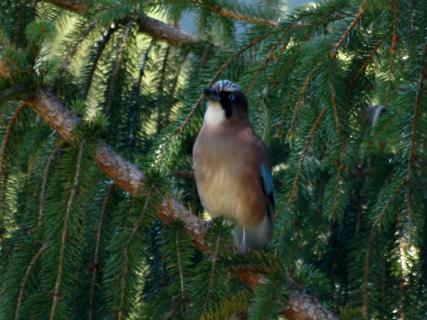 f0208666_16103127.jpg