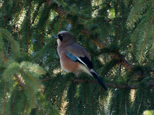 f0208666_16105711.jpg