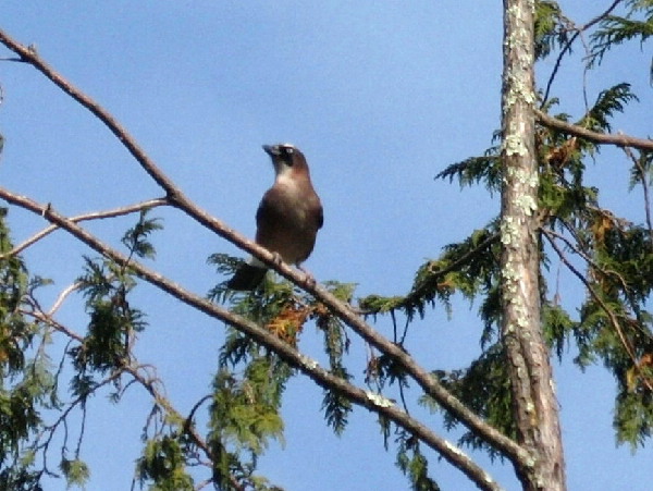 f0208666_16111653.jpg