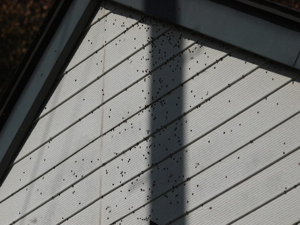 f0208666_1620437.jpg