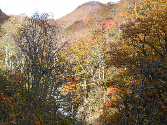 上州湯けむり紅葉紀行（３）照葉峡～尾瀬（2012・10・29）_c0014967_19405880.jpg