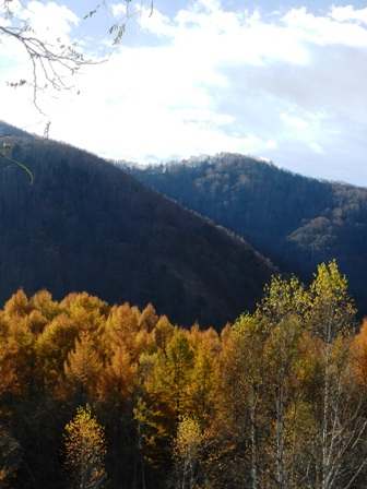 d0226767_16535421.jpg