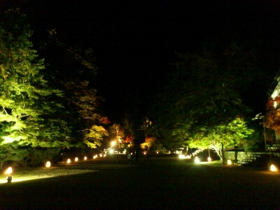 f0142070_18395969.jpg