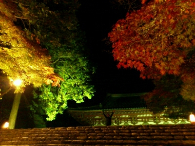 f0142070_1841346.jpg