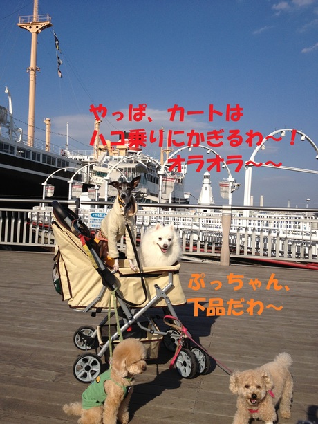f0223972_7261613.jpg