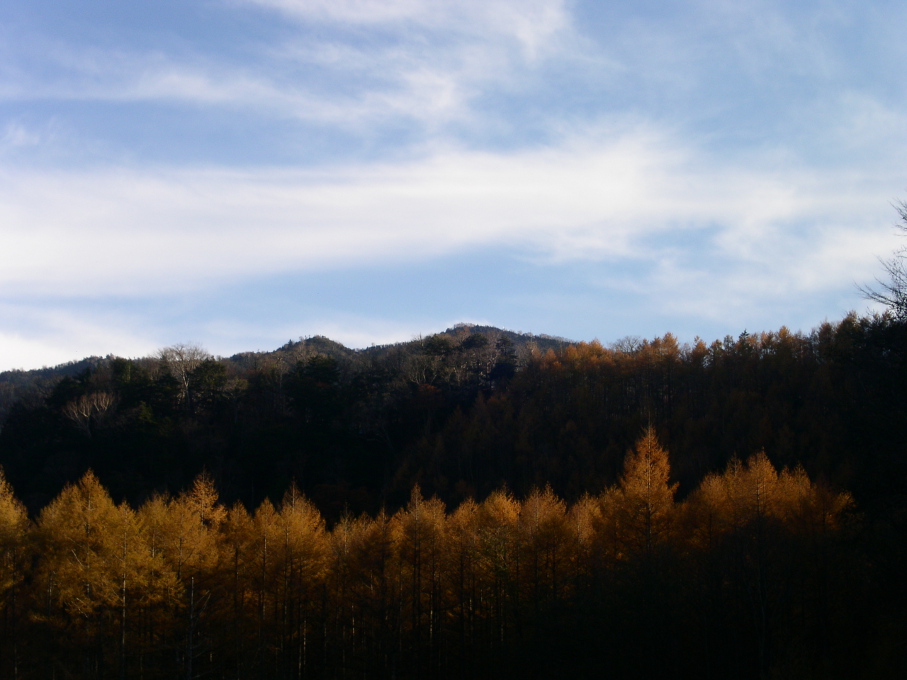 e0118274_10362088.jpg