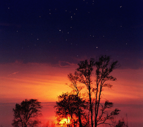 f0145976_23174150.gif