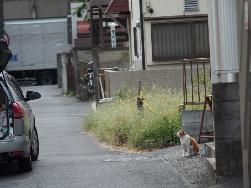 お出かけですか_c0109780_172187.jpg