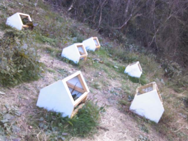c0135480_824279.jpg