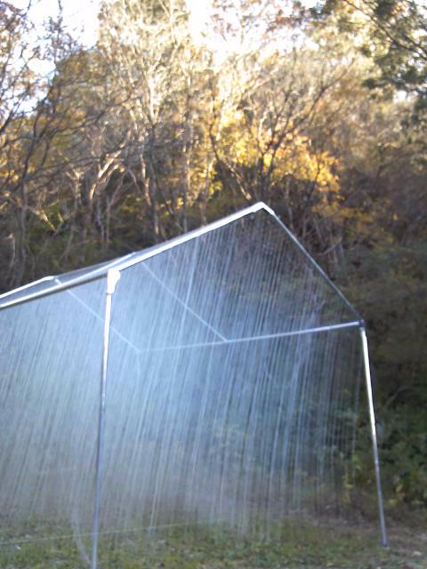 c0135480_8255632.jpg
