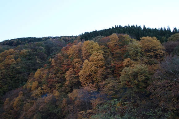 紅葉＆温泉三昧　その①_d0042380_20131545.jpg