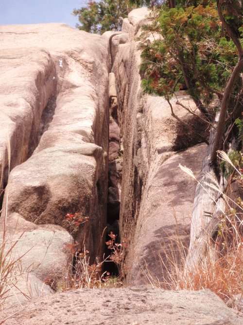 f0223480_20203315.jpg