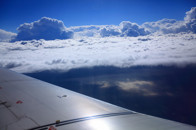 a0160581_831869.jpg